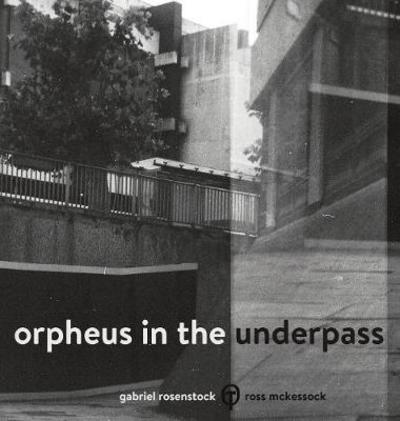 Cover for Gabriel Rosenstock · Orpheus in the Underpass (Inbunden Bok) (2017)