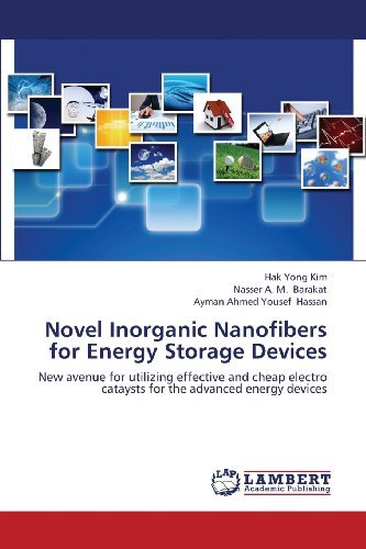 Cover for Ayman Ahmed Yousef Hassan · Novel Inorganic Nanofibers for Energy Storage Devices: New Avenue for Utilizing Effective and Cheap Electro Cataysts for the Advanced Energy Devices (Paperback Bog) (2013)