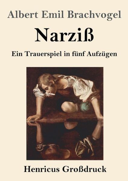Cover for Albert Emil Brachvogel · Narziss (Grossdruck) (Paperback Book) (2019)