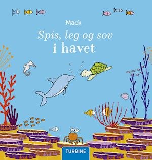 Cover for Mack van Gageldonk · Spis, leg og sov i havet (Cardboard Book) [1e uitgave] (2022)