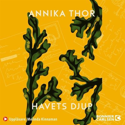 Cover for Annika Thor · Steffi och Nelli: Havets djup (Audiobook (MP3)) (2010)