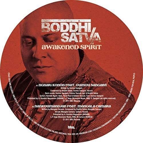 Cover for Boddhi Satva · Awakened Spirit (LP) (2016)