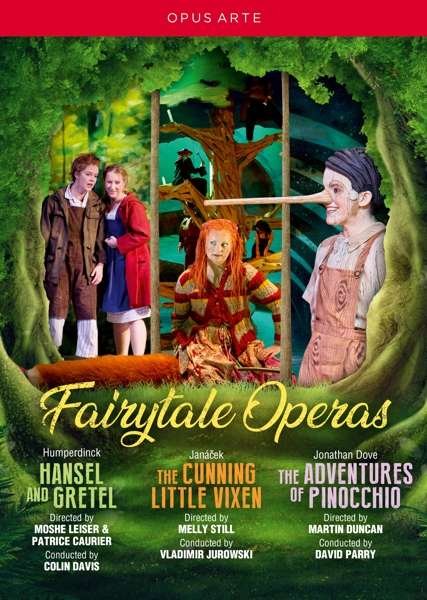 Cover for Orchestra Of The Royal Opera House · Fairytale Operas (DVD) (2019)