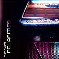 Polarities - Nines - Music - SELF RELEASE - 0829982126702 - May 13, 2011