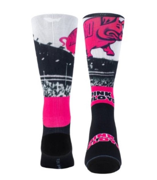Pink Floyd · Pink Floyd Pigs Socks (One Size) (CLOTHES) (2024)