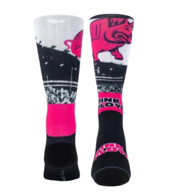Pink Floyd - Pink Floyd Pigs Socks (one Size) (Apparel General) - Pink Floyd - Produtos - PINK FLOYD - 0841657004702 - 30 de abril de 2024