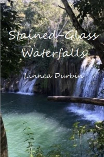 Cover for Linnea Durbin · Stained-Glass Waterfalls (Book) (2019)