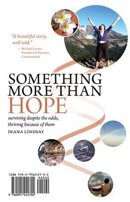 Cover for Kelly G Lindsay · Something More Than Hope / Something More Than Everything: Surviving Despite the Odds, Thriving Because of Them (Paperback Book) (2014)