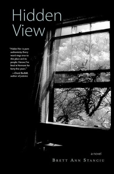 Hidden View - Brett Ann Stanciu - Livros - Green Writers Press - 9780996135702 - 9 de novembro de 2015
