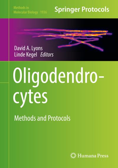 Cover for Oligodendrocytes (Book) [1st ed. 2019 edition] (2019)