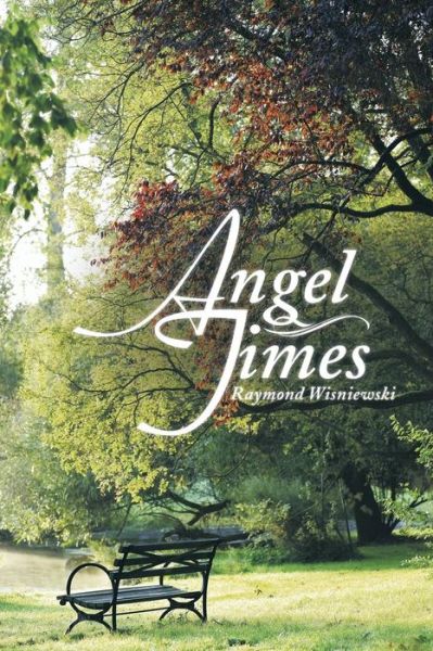 Cover for Raymond Wisniewski · Angel Times (Paperback Book) (2015)