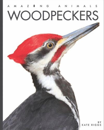 Woodpeckers - Kate Riggs - Livros - Creative Paperbacks - 9781682770702 - 11 de janeiro de 2022