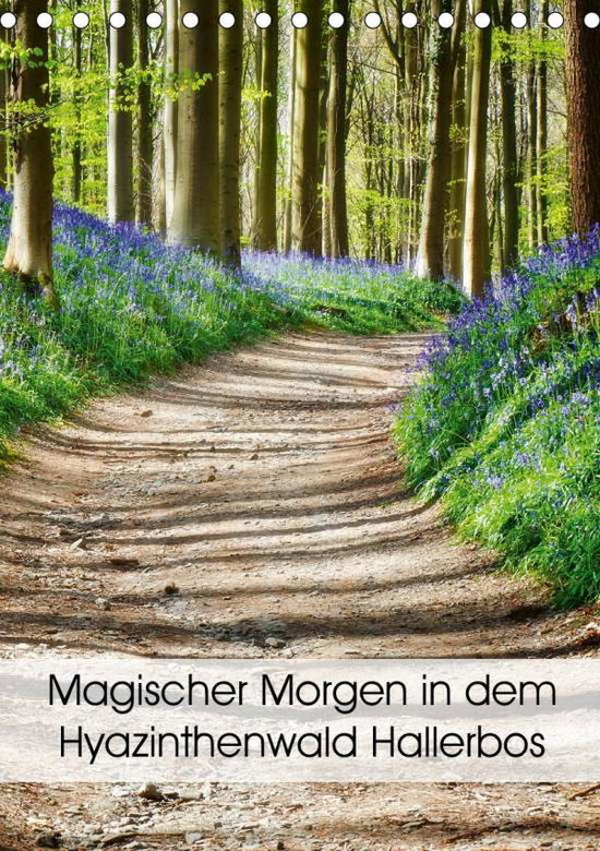 Magischer Morgen in dem Hyazint - Patrick - Kirjat -  - 9783670955702 - 