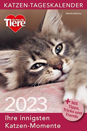 Cover for Bruckmann Verlag GmbH · Katzen Tageskalender 2023 (Calendar) (2022)