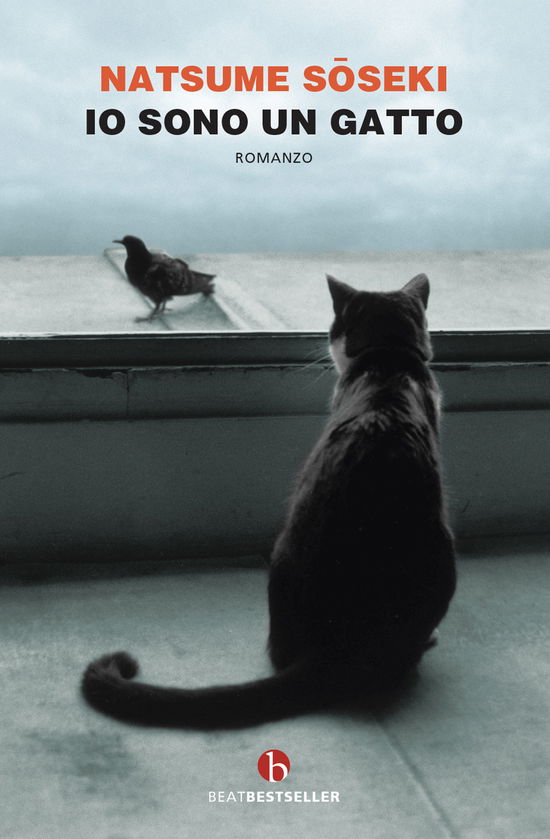 Cover for Natsume Soseki · Io Sono Un Gatto (Book)