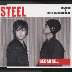 Cover for Steel · Because... (CD) [Japan Import edition] (2001)