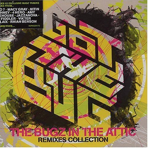 Got the Bug: Bugz in the Attic Remixes - Got the Bug: Bugz in the Attic Remixes - Music - V2 Records (Rough Trade) - 5033197291703 - July 19, 2011