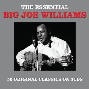 Cover for Big Joe Williams · Essential (CD) (2012)