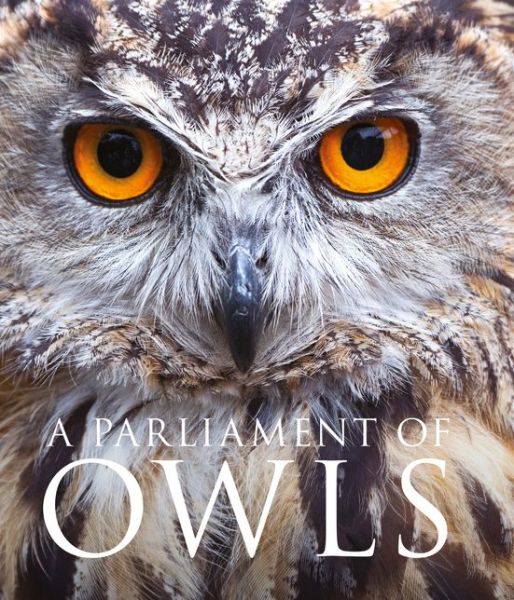 Cover for Mike Unwin · A Parliament of Owls (Hardcover Book) (2016)