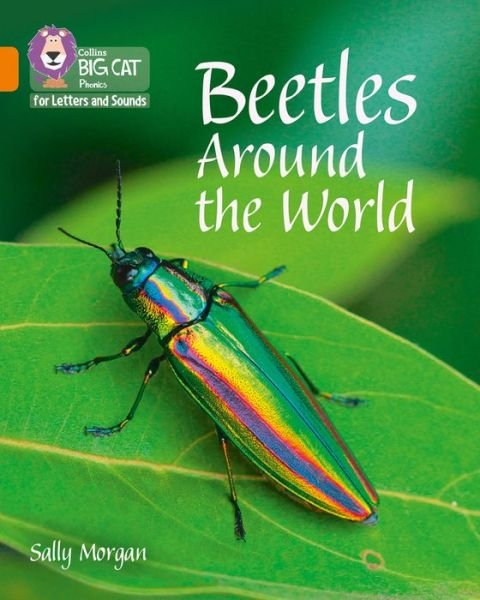 Cover for Sally Morgan · Beetles Around the World: Band 06/Orange - Collins Big Cat Phonics for Letters and Sounds (Pocketbok) (2017)