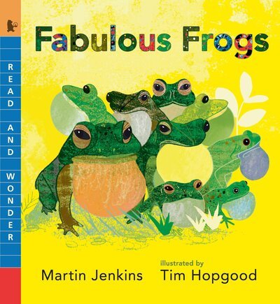 Cover for Martin Jenkins · Fabulous Frogs (Taschenbuch) (2018)