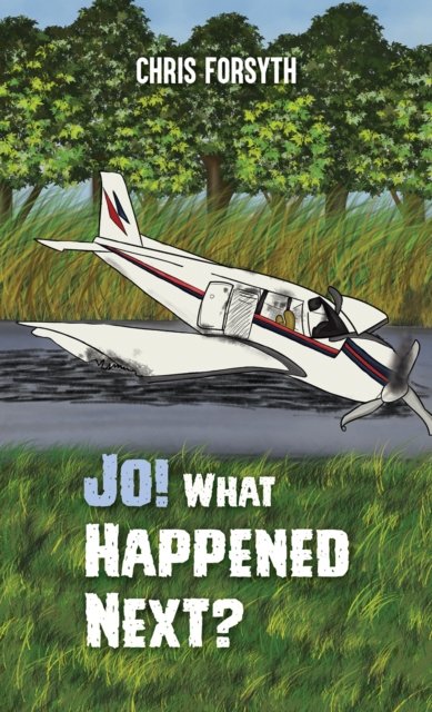 Cover for Chris Forsyth · Jo! What Happened Next? (Paperback Bog) (2024)