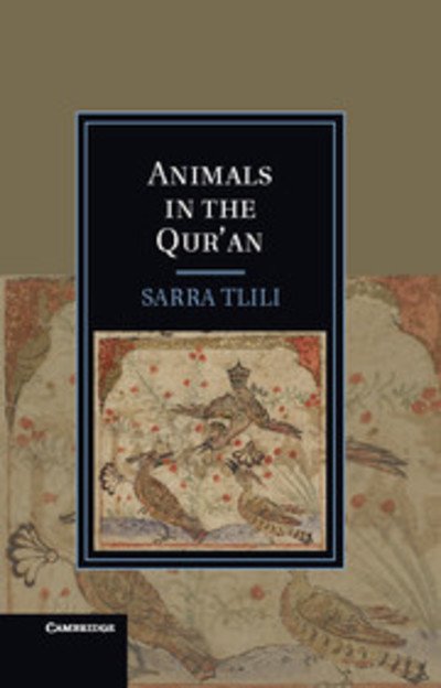 Animals in the Qur'an - Cambridge Studies in Islamic Civilization - Tlili, Sarra (University of Florida) - Kirjat - Cambridge University Press - 9781107023703 - maanantai 13. elokuuta 2012