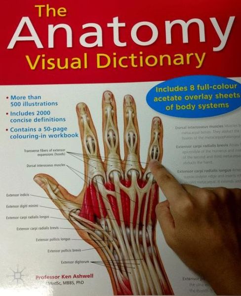 Anatomy Visual Dictionary - Ken Ashwell - Kirjat - Macmillan Education UK - 9781420256703 - keskiviikko 21. syyskuuta 2011