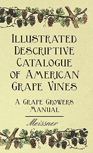 Illustrated Descriptive Catalogue of American Grape Vines - a Grape Growers Manual - Bush & Son & Meissner - Books - Buchanan Press - 9781444652703 - September 14, 2009