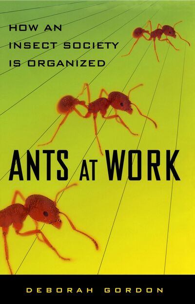 Cover for Deborah Gordon · Ants At Work (Paperback Book) (2011)