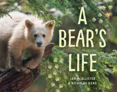 Cover for Ian McAllister · A bear's life (Book) (2017)