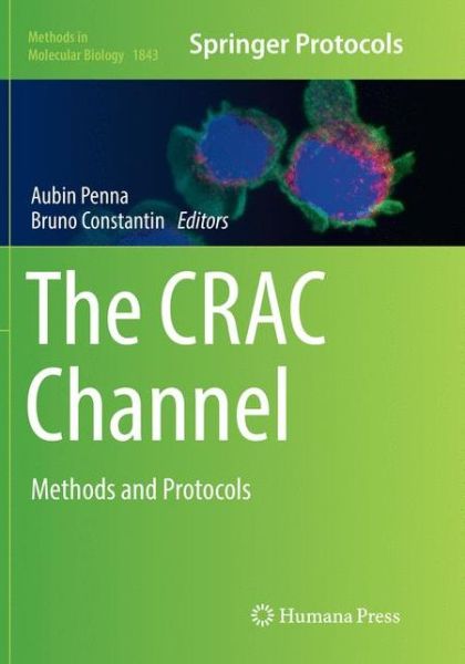 Cover for The CRAC Channel (Book) [Softcover reprint of the original 1st ed. 2018 edition] (2019)