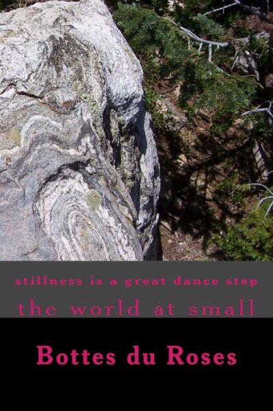 Cover for Bottes du Roses · Stillness is a Great Dance Step (Paperback Book) (2014)