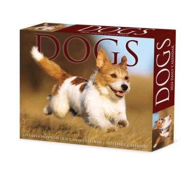 Dogs 2024 6.2 X 5.4 Box Calendar - Willow Creek Press - Merchandise - Willow Creek Press - 9781549238703 - 15. august 2023