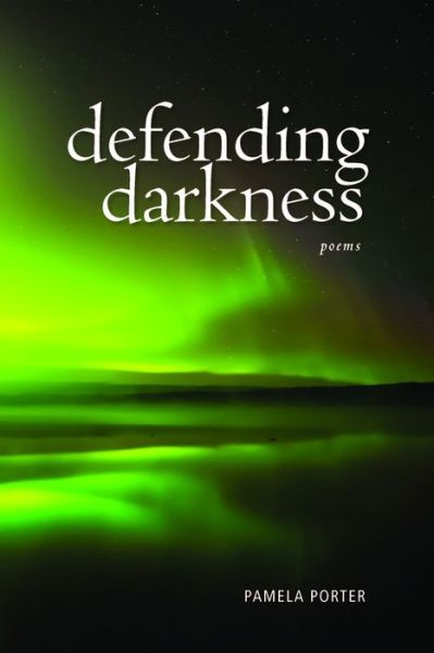 Cover for Pamela Porter · Defending Darkness (Book) (2016)