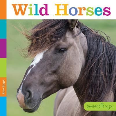 Cover for Kate Riggs · Wild Horses (Hardcover Book) (2017)