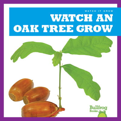 Cover for Kirsten Chang · Watch an Oak Tree Grow (Hardcover Book) (2019)