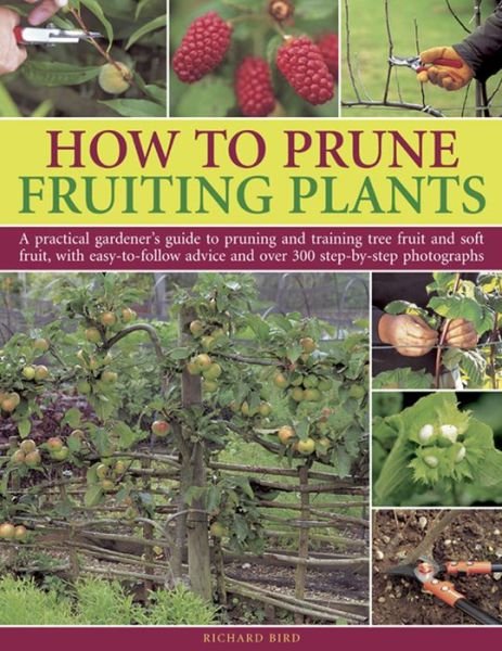 Cover for Richard Bird · How to Prune Fruiting Plants (Paperback Book) (2013)