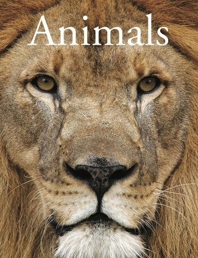 Cover for David Alderton · Animals (Pocketbok) (2019)
