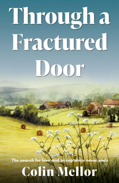 Cover for Colin Mellor · Through a Fractured Door (Paperback Book) (2021)
