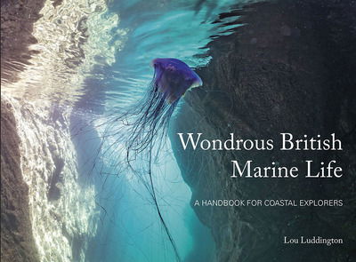 Cover for Lou Ludington · Wondrous British Marine Life: A handbook for coastal explorers (Paperback Book) (2019)