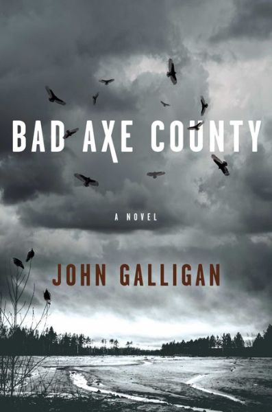 Cover for John Galligan · Bad Axe County: A Novel - A Bad Axe County Novel (Hardcover Book) (2019)