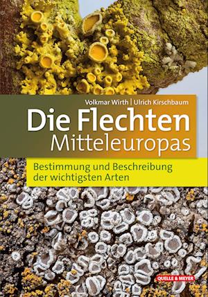 Cover for Volkmar Wirth · Die Flechten Mitteleuropas (Book) (2023)