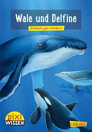 Cover for Cordula Thörner · Pixi Wissen 8: VE 5 Wale und Delfine (Taschenbuch) (2021)