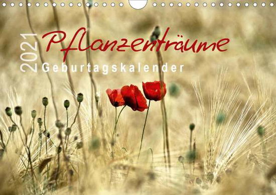 Cover for Düll · Pflanzenträume / Geburtstagskalend (Bok)