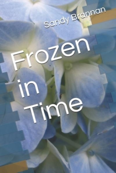 Cover for Sandy Brannan · Frozen in Time (Paperback Book) (2021)