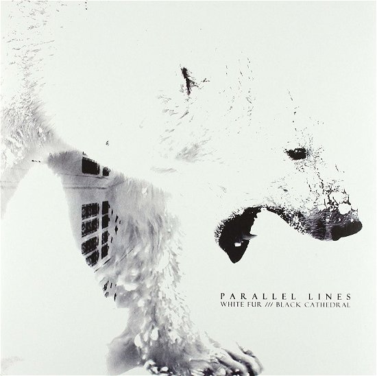 Cover for Parallel Lines · White Fur (LP) (2013)