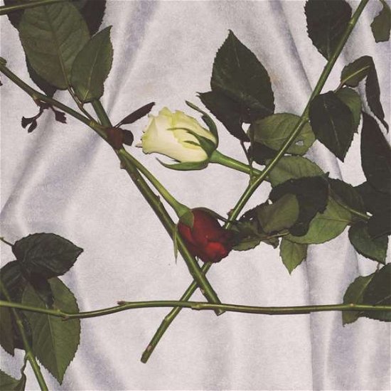 Cover for Chain of Flowers · Chain Of Flowers (LP) (2015)
