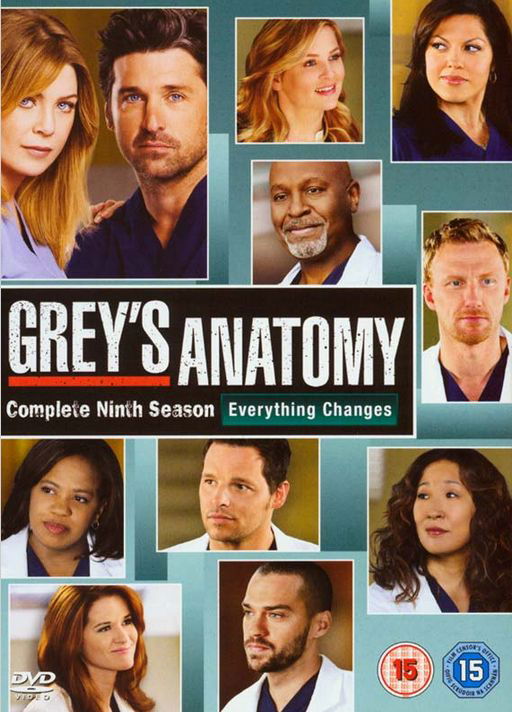 Greys Hvide Verden - Sæson 9 - Ellen Pompeo - Films -  - 8717418395704 - 28 november 2013