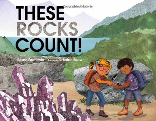 Cover for Alison Formento · These Rocks Count - These Things Count (Hardcover Book) (2014)